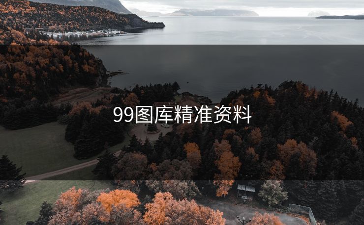 99图库精准资料