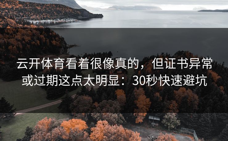 云开体育看着很像真的，但证书异常或过期这点太明显：30秒快速避坑